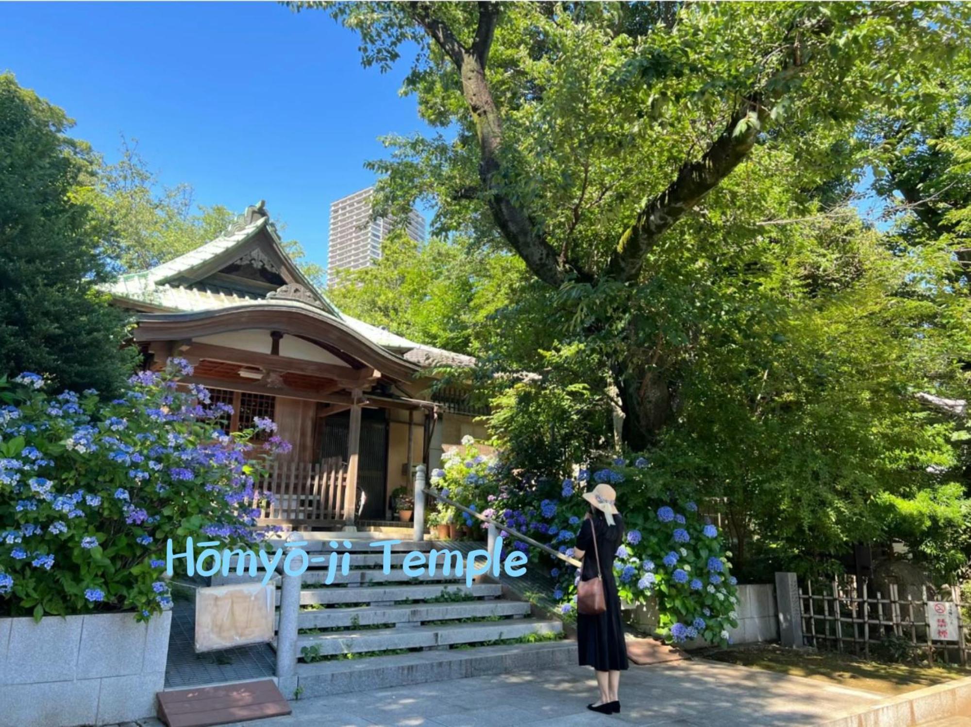 Ikebukuro Three Layers House Kanamecho Stn 5min Walk Max 12 People 池袋三階车站步行5分独栋最大12人 Villa