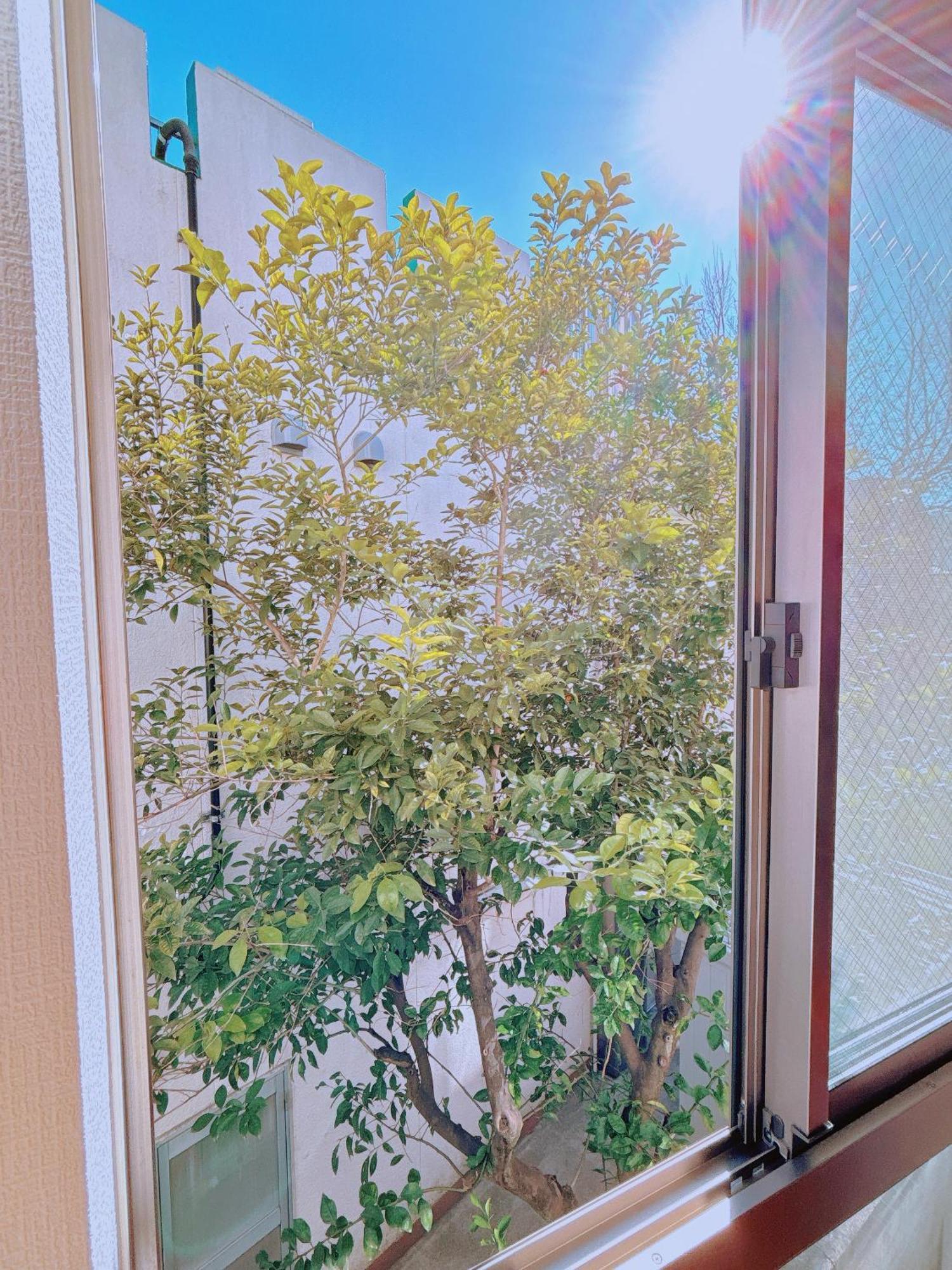 Ikebukuro Three Layers House Kanamecho Stn 5min Walk Max 12 People 池袋三階车站步行5分独栋最大12人 Tóquio